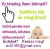 Távmunka otthonról! , evi2169@gmail.com , 