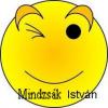 Otthoni munka hosszú távon , mindzsaki@gmail.com , 