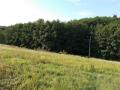 Eladó  Zalaegerszeg Egerszeghegyeb szántó rét erdő , celebre18@freemail.hu , 0692330231