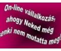 Online munkára azonnali felvétel! , kabaimarta46@gmail.com , 