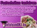 Ingyenes fogtechnikus tanfolyam , tanfolyamokj@gmail.com , 