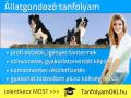 Állatgondozó tanfolyam Budapesten , tanfolyamokj@gmail.com , 